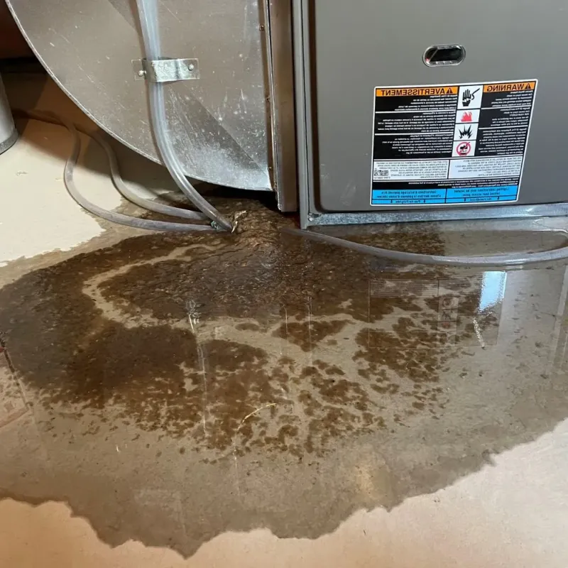 Pipe Burst and Leak Restoration in Troup County, GA