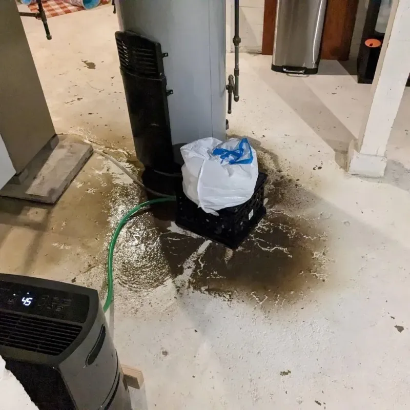 Sewage Backup Cleanup Service in Troup County, GA